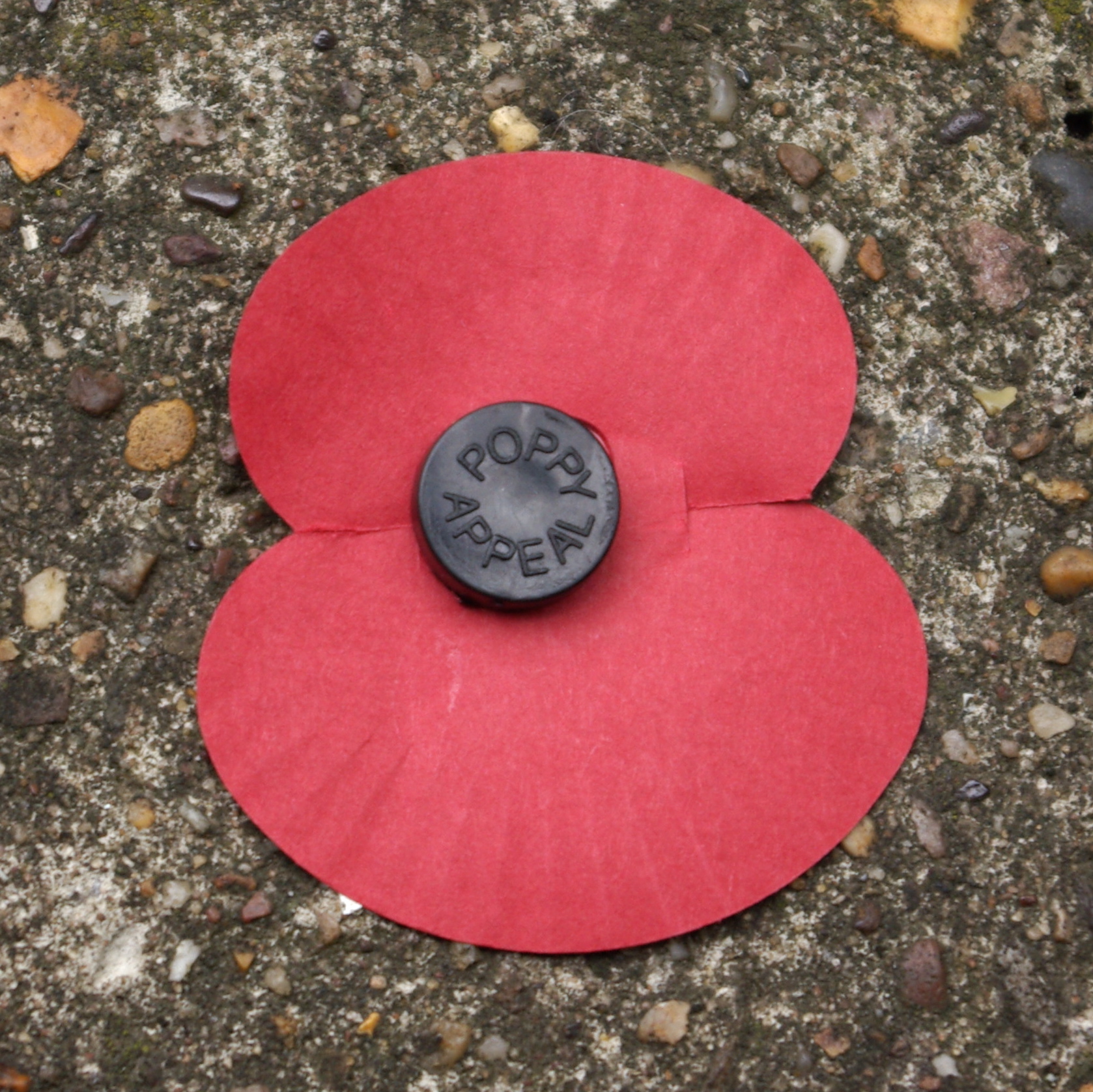 POPPY