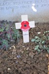 Vigil Poppy Cross